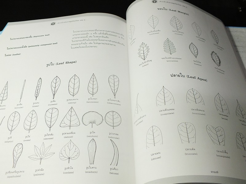 ตำราอ้างอิงยาสมุนไพรไทย เล่ม 3 เฉลิมพระเกียรติสมเด็จพระนางเจ้าสิริกิติ์ พระบรมราชินีนาถ พระชนมพรรษาครบ 7 รอบ ปกแข็ง