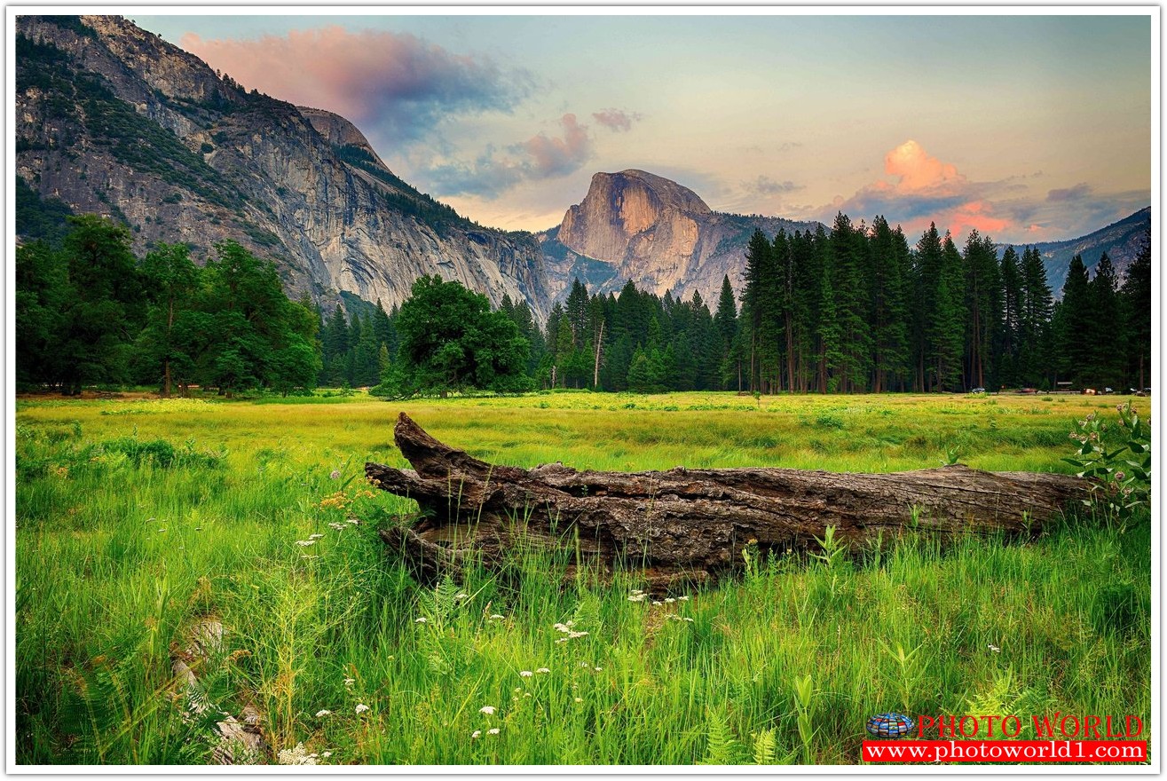 NATURAL วอลเปเปอร์รูปภาพติดผนังสั่งทำ มีภาพให้เลือกกว่า 50,000 ภาพ ออกแบบกราฟฟิค หรือ รูปภาพตามที่ท่านกำหนด ในสไตล์ท่านเอง "custom made"