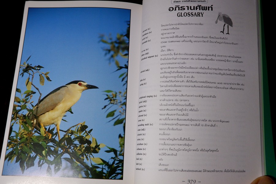 ชีวิตนก จากบันทึก เเละความทรงจำ เล่ม 1 โดย สุธี ศุภรัฐวิกร