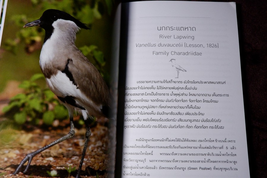 นกไทย ในบันทึกเเละความทรงจำ โดย สุธี ศุภรัฐวิกร พิมพ์ 1000 เล่ม ปี 2558
