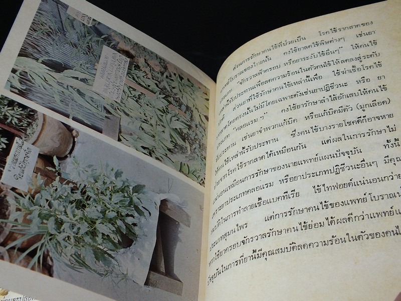 คู่มือยาสมุนไพร เเละโรคประเทศเขตร้อน เเละวิธีบำบัดรักษา โดย พ.ต.อ.ชลอ อุทกภาชน์ ปกแข็ง 2 เล่ม ปี 2519 (สอบถาม)