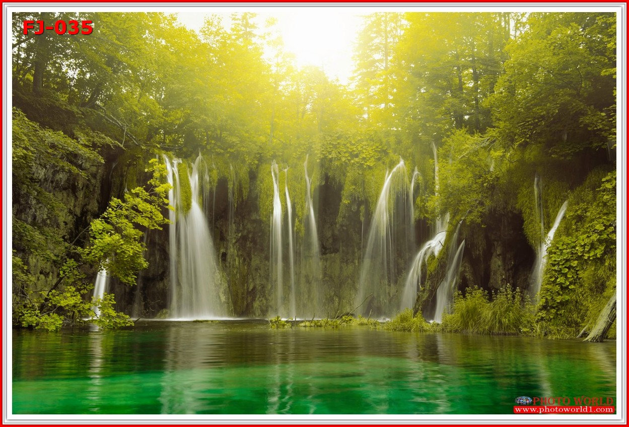 วอลเปเปอร์รูปภาพติดผนังสั่งทำ มีภาพให้เลือกกว่า 50,000 ภาพ ออกแบบกราฟฟิค หรือ รูปภาพตามที่ท่านกำหนด ในสไตล์ท่านเอง "custom made"