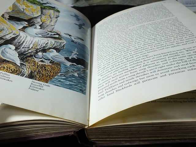 A Natural History of British Birds by Eric Simms . hardcopy 396 pages .copyright 1983