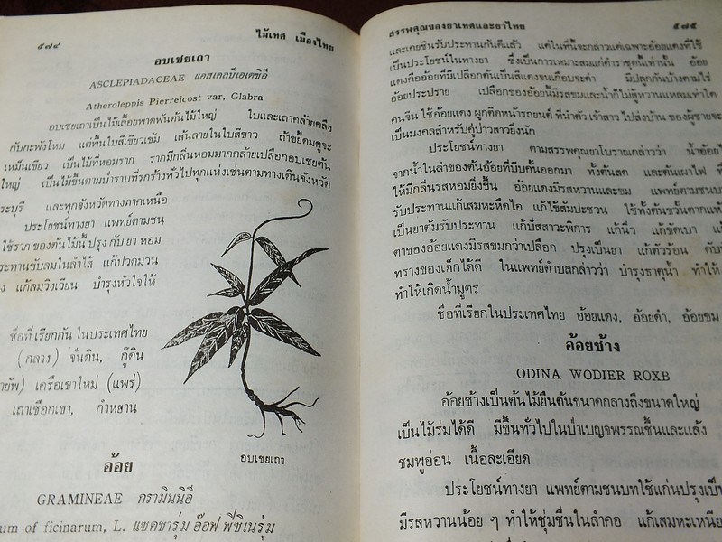 ไม้เทศเมืองไทย สรรพคุณยาเทศเเละยาไทย โดย หมอเสงี่ยม พงษ์บุญรอด ปกแข็ง 652 หน้า ปี 2522
