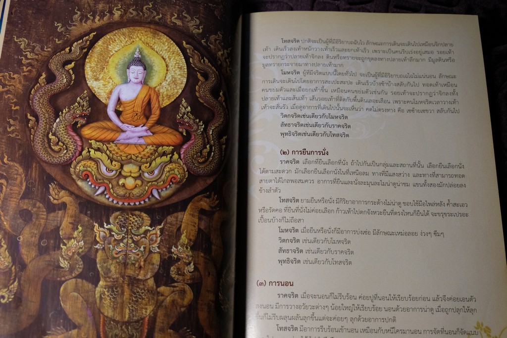 การปฏิบัติวิปัสสนากัมมัฏฐาน ตามเเนวมหาสติปัฏฐาน 4 โดย พระครูปลัดวรเมธาวัฒน์ (วรพงศ์) ภาพประกอบโดย อ.สุวัฒน์ เเสนขัติยรัตน์ ปี 2556