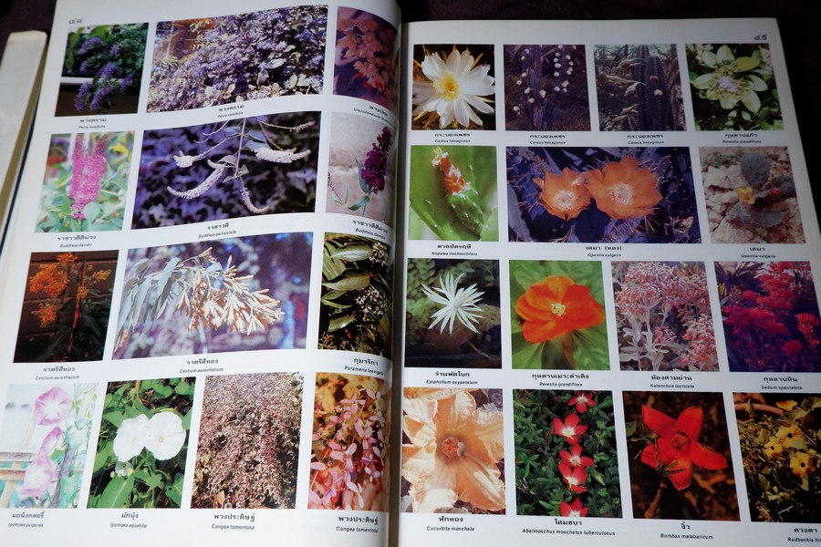 ดอกไม้เเละประวัติไม้ดอกเมืองไทย โดย วิชัย อภัยสุวรรณ ปกแข็ง ปี 2532