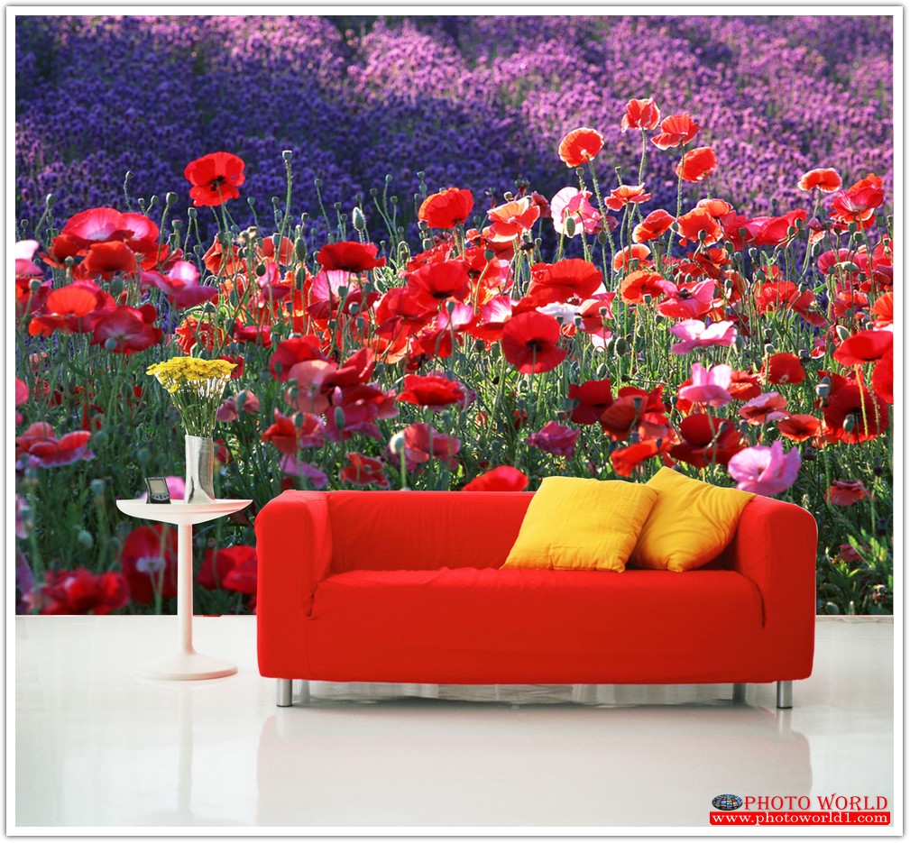 วอลเปเปอร์รูปภาพติดผนังสั่งทำ มีภาพให้เลือกกว่า 50,000 ภาพ ออกแบบกราฟฟิค หรือ รูปภาพตามที่ท่านกำหนด ในสไตล์ท่านเอง "custom made"