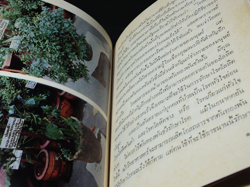 คู่มือยาสมุนไพร เเละโรคประเทศเขตร้อน เเละวิธีบำบัดรักษา โดย พ.ต.อ.ชลอ อุทกภาชน์ ปกแข็ง 2 เล่ม ปี 2519 (สอบถาม)
