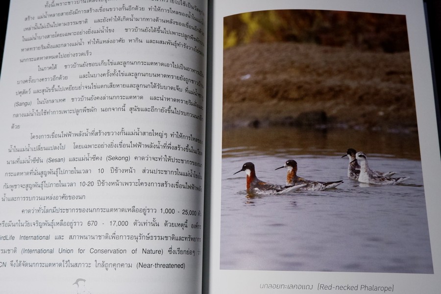 นกไทย ในบันทึกเเละความทรงจำ โดย สุธี ศุภรัฐวิกร พิมพ์ 1000 เล่ม ปี 2558 (มีตำหนิ)