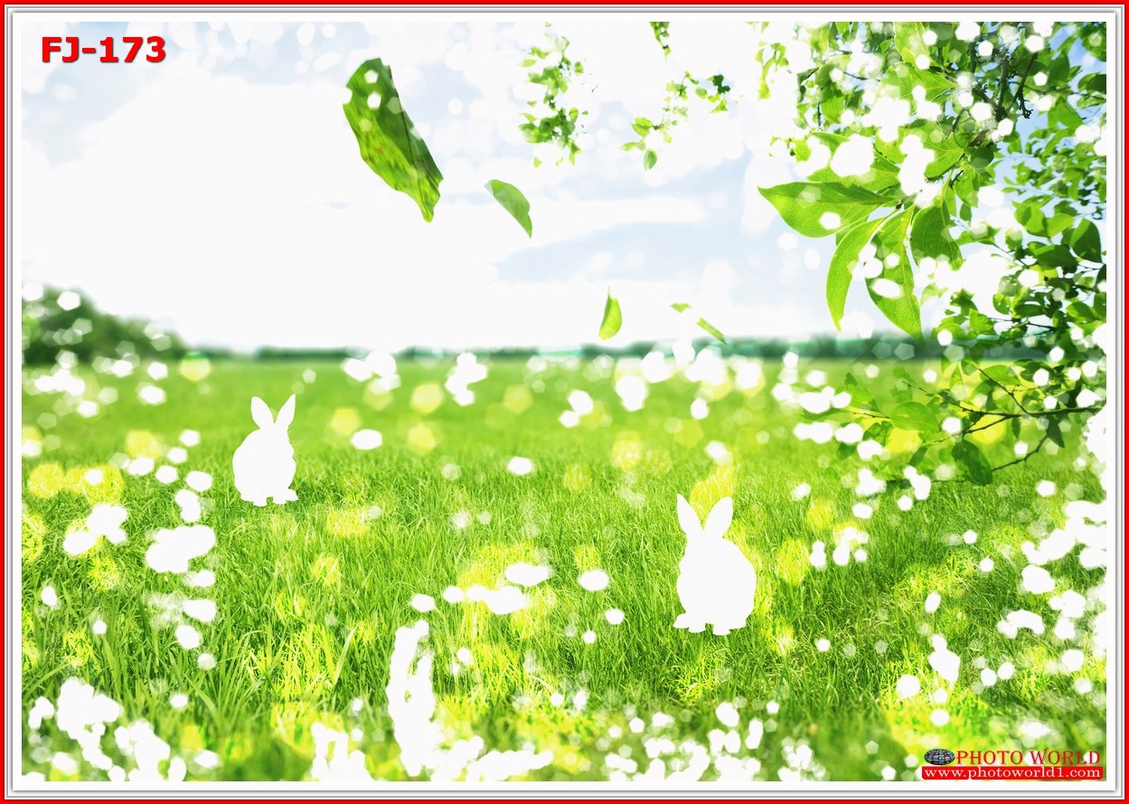 วอลเปเปอร์รูปภาพติดผนังสั่งทำ มีภาพให้เลือกกว่า 50,000 ภาพ ออกแบบกราฟฟิค หรือ รูปภาพตามที่ท่านกำหนด ในสไตล์ท่านเอง "custom made"