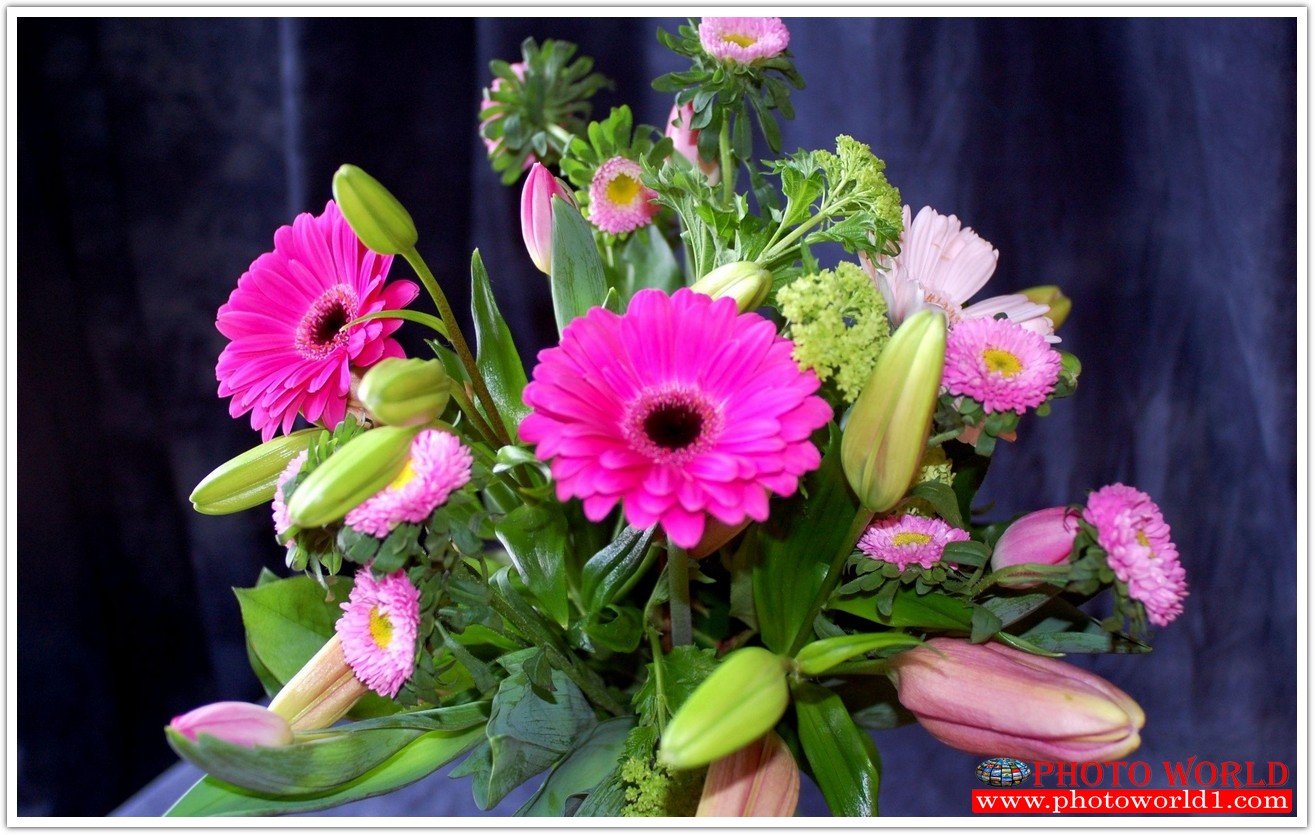 วอลเปเปอร์รูปภาพติดผนังสั่งทำ มีภาพให้เลือกกว่า 50,000 ภาพ ออกแบบกราฟฟิค หรือ รูปภาพตามที่ท่านกำหนด ในสไตล์ท่านเอง "custom made"