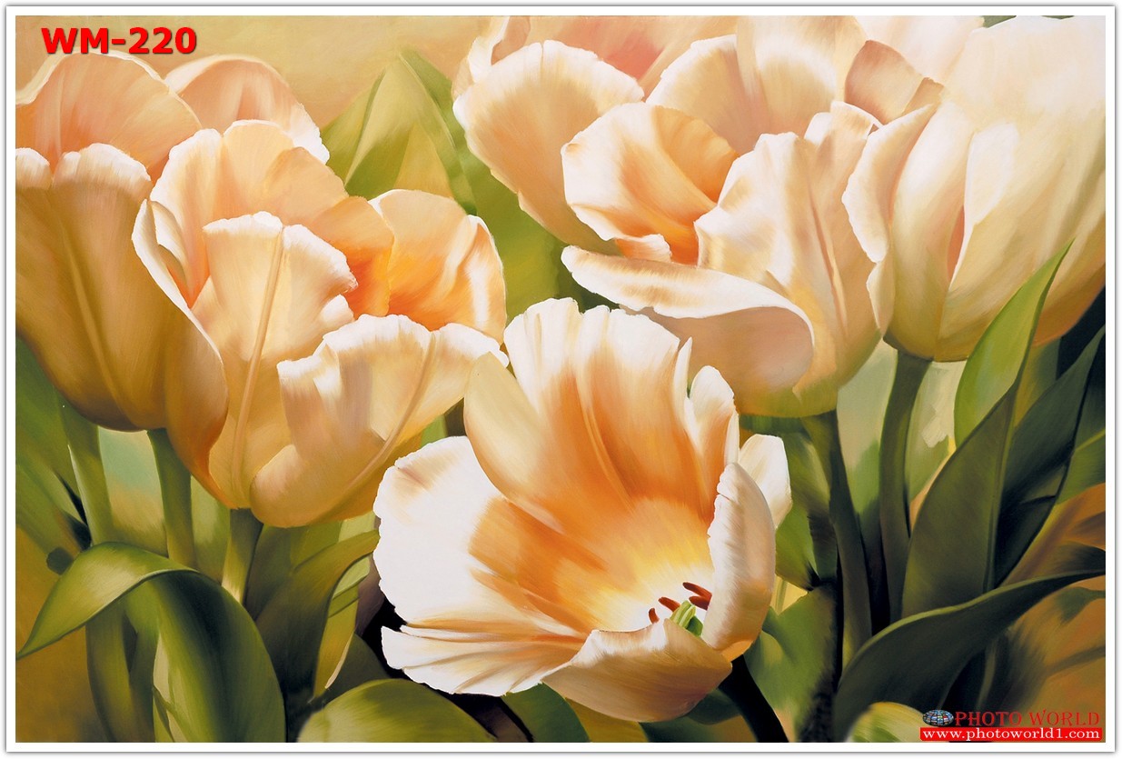 วอลเปเปอร์รูปภาพติดผนังสั่งทำ มีภาพให้เลือกกว่า 50,000 ภาพ ออกแบบกราฟฟิค หรือ รูปภาพตามที่ท่านกำหนด ในสไตล์ท่านเอง "custom made"