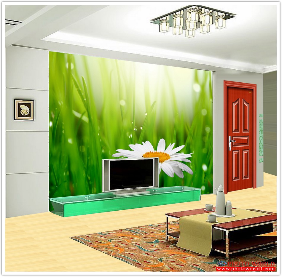 วอลเปเปอร์รูปภาพติดผนังสั่งทำ มีภาพให้เลือกกว่า 50,000 ภาพ ออกแบบกราฟฟิค หรือ รูปภาพตามที่ท่านกำหนด ในสไตล์ท่านเอง "custom made"