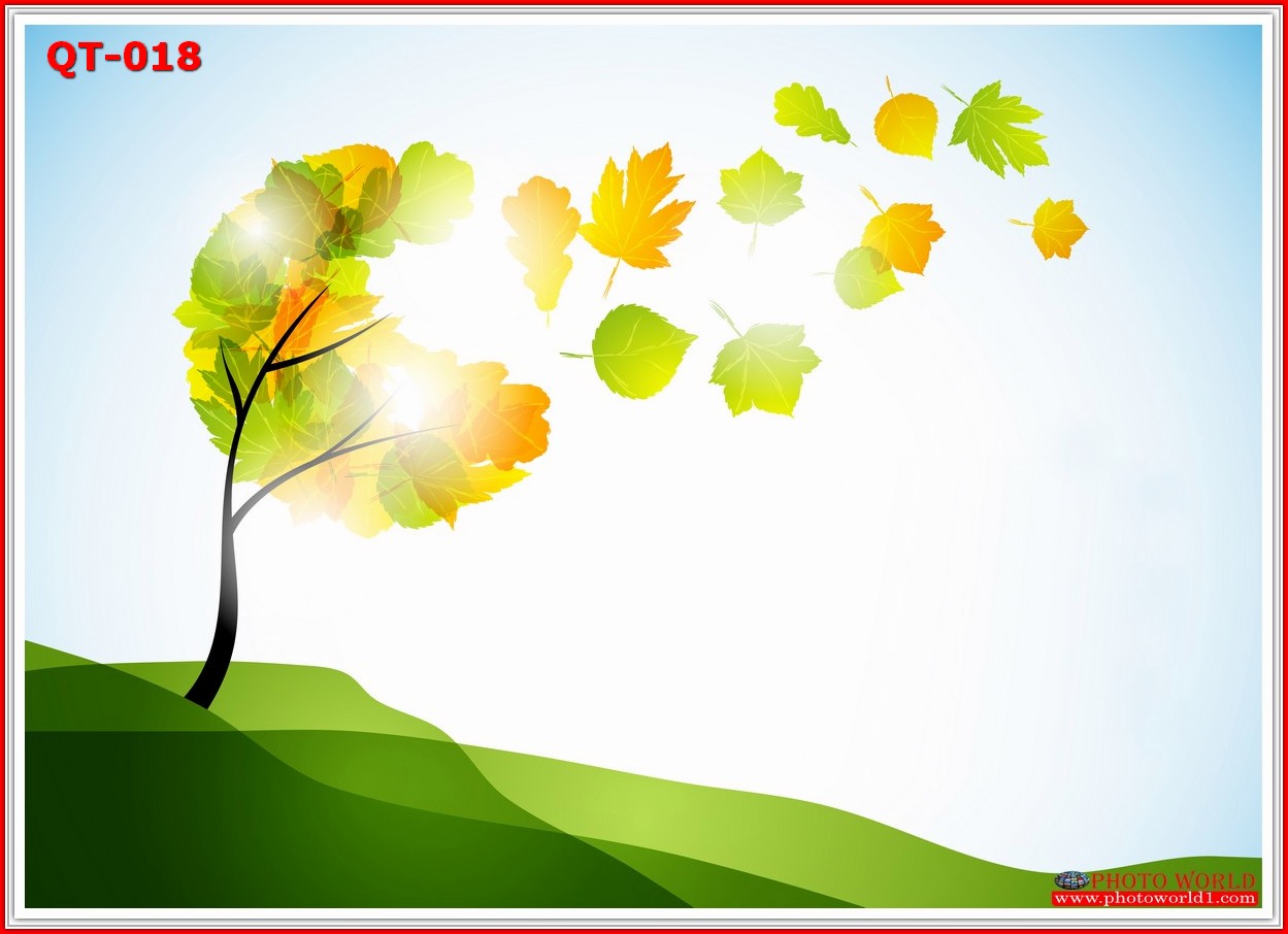 วอลเปเปอร์รูปภาพติดผนังสั่งทำ มีภาพให้เลือกกว่า 50,000 ภาพ ออกแบบกราฟฟิค หรือ รูปภาพตามที่ท่านกำหนด ในสไตล์ท่านเอง "custom made"