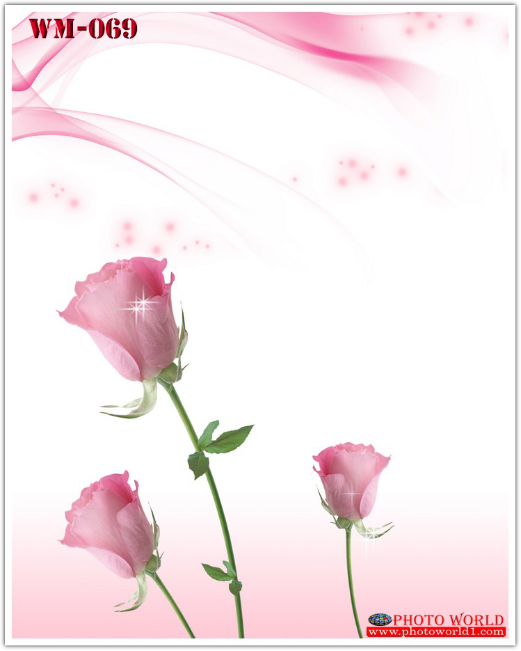 วอลเปเปอร์รูปภาพติดผนังสั่งทำ มีภาพให้เลือกกว่า 50,000 ภาพ ออกแบบกราฟฟิค หรือ รูปภาพตามที่ท่านกำหนด ในสไตล์ท่านเอง "custom made"