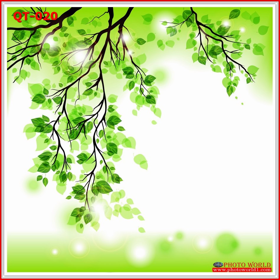 วอลเปเปอร์รูปภาพติดผนังสั่งทำ มีภาพให้เลือกกว่า 50,000 ภาพ ออกแบบกราฟฟิค หรือ รูปภาพตามที่ท่านกำหนด ในสไตล์ท่านเอง "custom made"