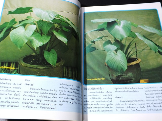 สารานุกรมว่านไทย ฉบับสมบูรณ์ โดย ทัศนา ทัศนมิตร-ดำรงศักดิ์ นาคนิยม (สอบถาม)