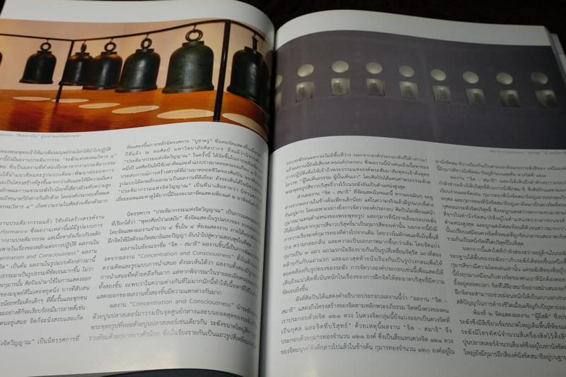 FINE ART volume 6 no.57 dreaming-in public ศิลปะเเสบสัน