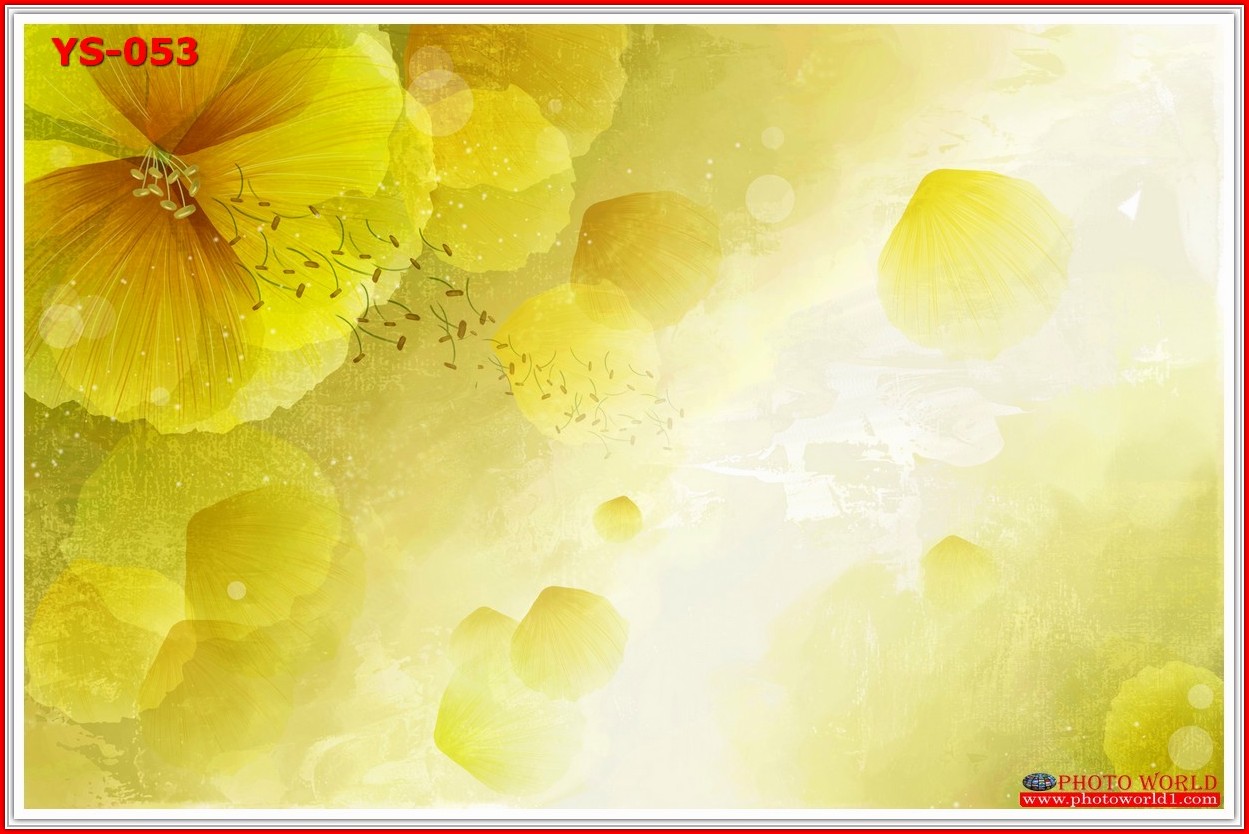 วอลเปเปอร์รูปภาพติดผนังสั่งทำ มีภาพให้เลือกกว่า 50,000 ภาพ ออกแบบกราฟฟิค หรือ รูปภาพตามที่ท่านกำหนด ในสไตล์ท่านเอง "custom made"