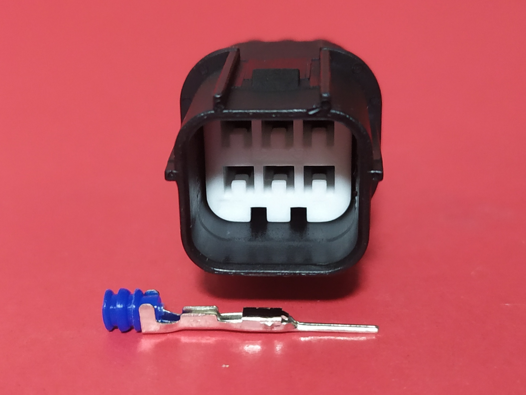 6 พิน ดำ บ่าบน ตัวผู้ #4908