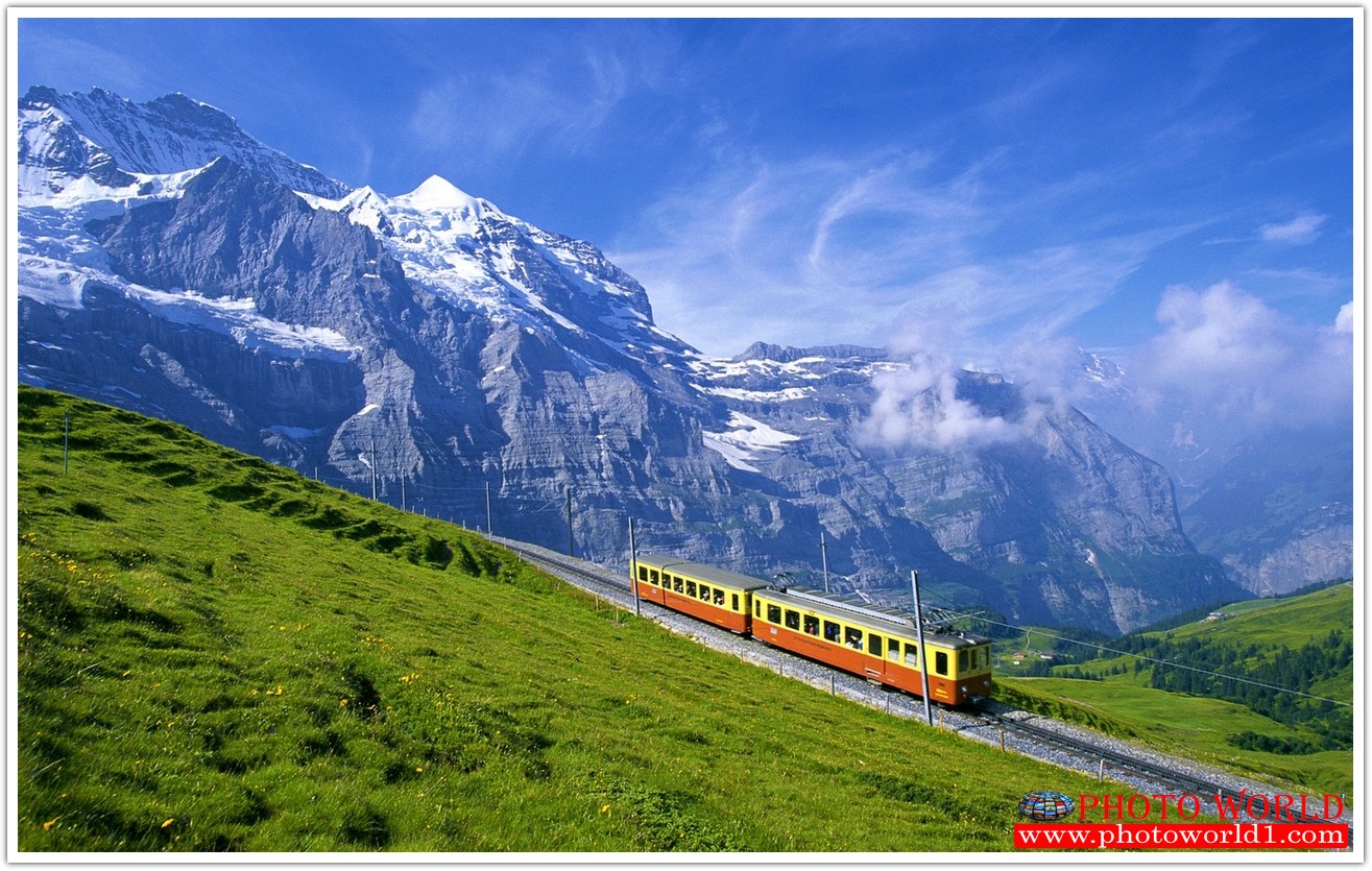 NATURAL วอลเปเปอร์รูปภาพติดผนังสั่งทำ มีภาพให้เลือกกว่า 50,000 ภาพ ออกแบบกราฟฟิค หรือ รูปภาพตามที่ท่านกำหนด ในสไตล์ท่านเอง "custom made"