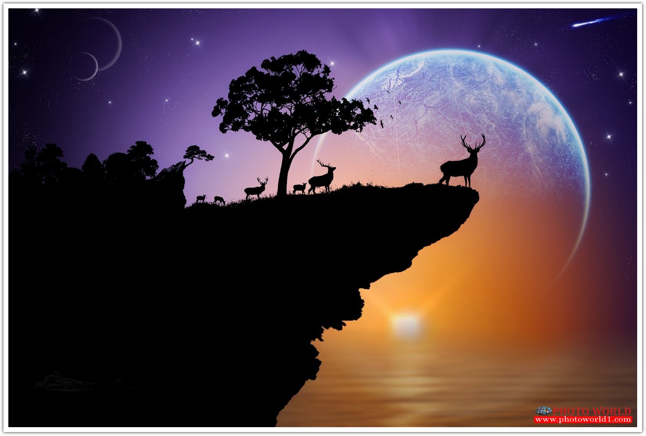 วอลเปเปอร์รูปภาพติดผนังสั่งทำ BOY&GIRL (PHOTO STOCK) มีภาพให้เลือกกว่า 50,000 ภาพ ออกแบบกราฟฟิค หรือ รูปภาพตามที่ท่านกำหนด ในสไตล์ท่านเอง "custom made"