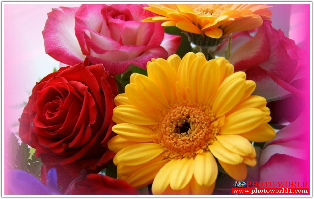 วอลเปเปอร์รูปภาพติดผนังสั่งทำ มีภาพให้เลือกกว่า 50,000 ภาพ ออกแบบกราฟฟิค หรือ รูปภาพตามที่ท่านกำหนด ในสไตล์ท่านเอง "custom made"