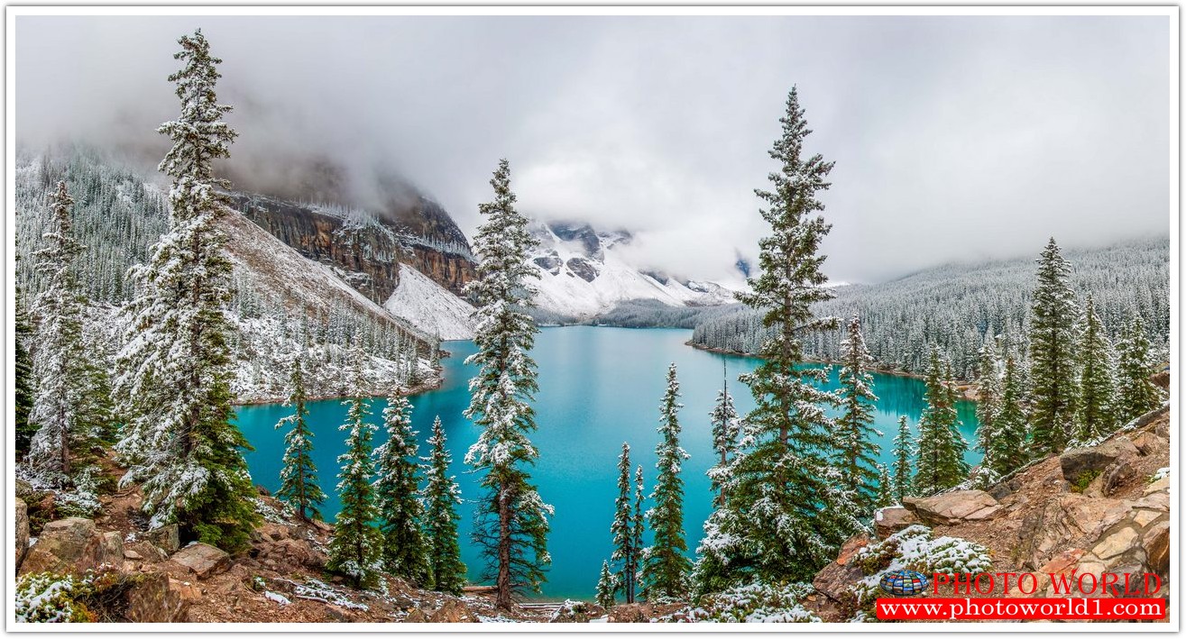 NATURAL วอลเปเปอร์รูปภาพติดผนังสั่งทำ มีภาพให้เลือกกว่า 50,000 ภาพ ออกแบบกราฟฟิค หรือ รูปภาพตามที่ท่านกำหนด ในสไตล์ท่านเอง "custom made"