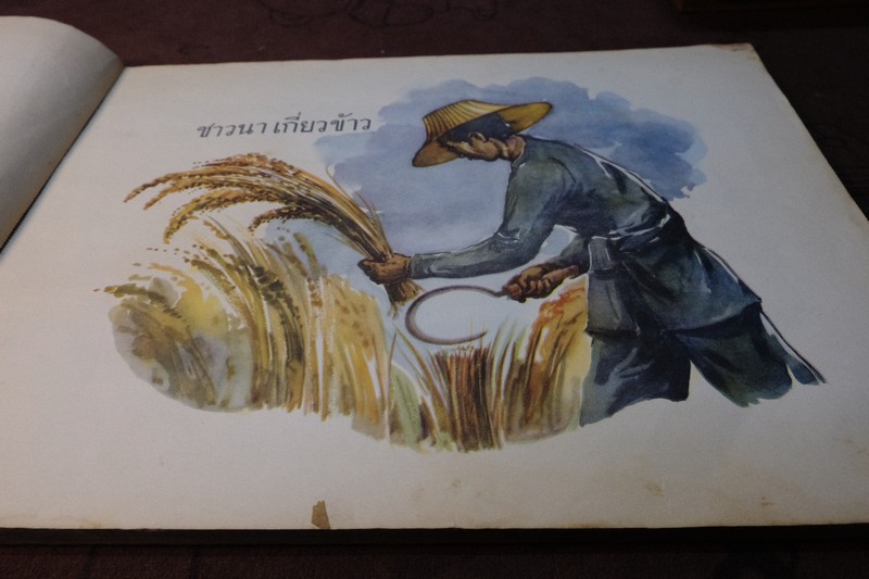 คู่มือครูชั้นประถมปีทีหนึ่ง ของ กระทรวงศึกษาธิการ ภาพผนัง สำหรับหนังสือ "ฝนตกแดดออก” ปี 2498