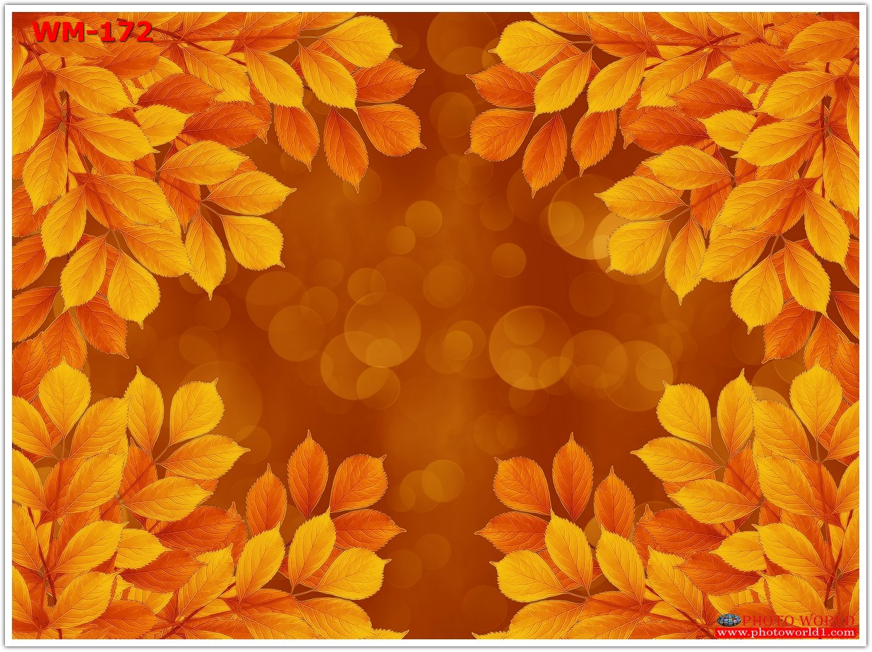 วอลเปเปอร์รูปภาพติดผนังสั่งทำ มีภาพให้เลือกกว่า 50,000 ภาพ ออกแบบกราฟฟิค หรือ รูปภาพตามที่ท่านกำหนด ในสไตล์ท่านเอง "custom made"