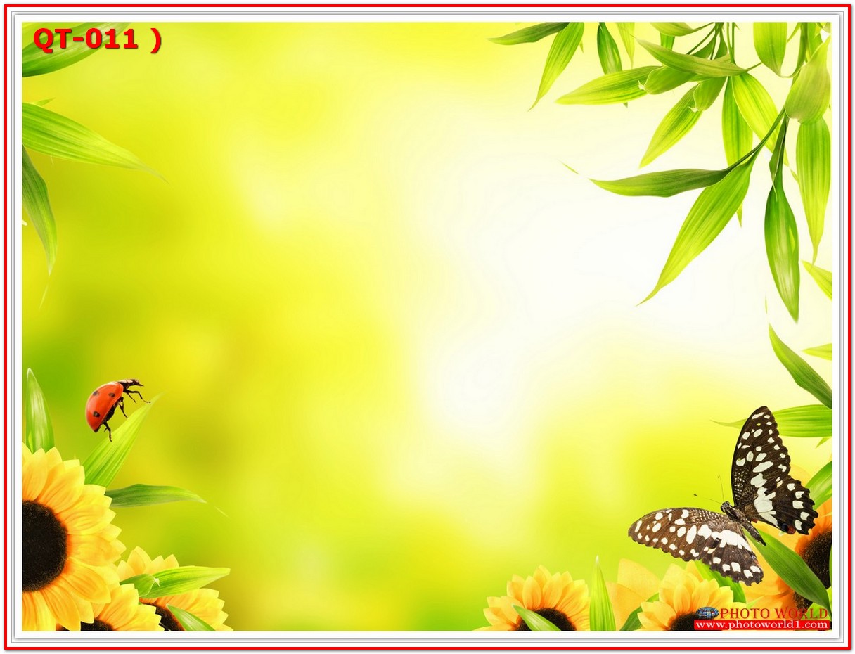 วอลเปเปอร์รูปภาพติดผนังสั่งทำ มีภาพให้เลือกกว่า 50,000 ภาพ ออกแบบกราฟฟิค หรือ รูปภาพตามที่ท่านกำหนด ในสไตล์ท่านเอง "custom made"