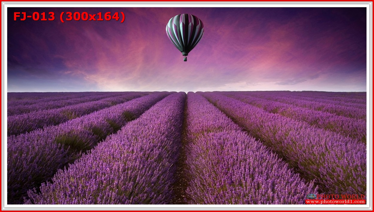 วอลเปเปอร์รูปภาพติดผนังสั่งทำ มีภาพให้เลือกกว่า 50,000 ภาพ ออกแบบกราฟฟิค หรือ รูปภาพตามที่ท่านกำหนด ในสไตล์ท่านเอง "custom made"