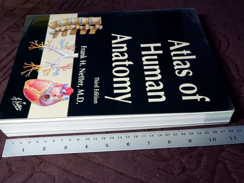Atlas of Human Anatomyของ Frank H. Netter, MD