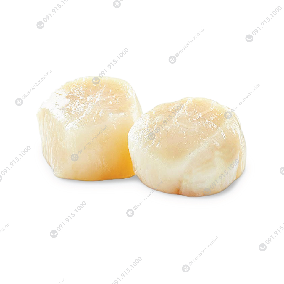 หอยเชลล์แกะเปลือกแช่แข็ง / Frozen Hottate without Shell