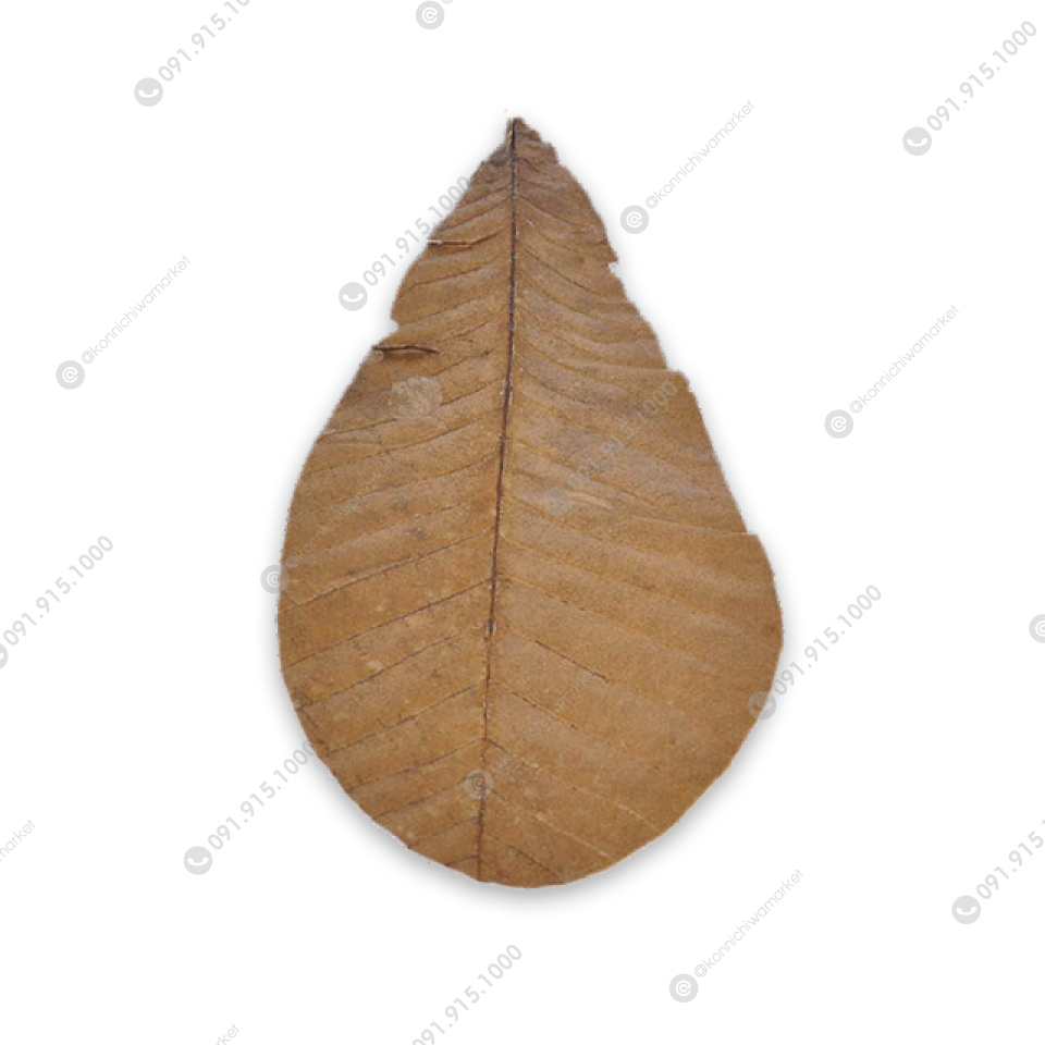 ใบโฮบะ / Hoba Leaf