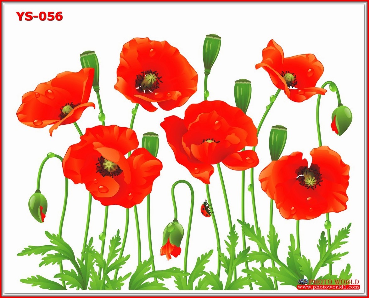 วอลเปเปอร์รูปภาพติดผนังสั่งทำ มีภาพให้เลือกกว่า 50,000 ภาพ ออกแบบกราฟฟิค หรือ รูปภาพตามที่ท่านกำหนด ในสไตล์ท่านเอง "custom made"