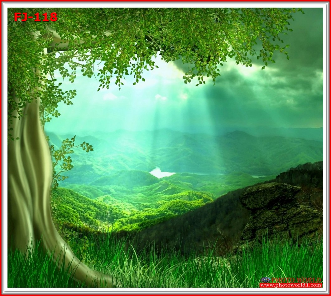 วอลเปเปอร์รูปภาพติดผนังสั่งทำ มีภาพให้เลือกกว่า 50,000 ภาพ ออกแบบกราฟฟิค หรือ รูปภาพตามที่ท่านกำหนด ในสไตล์ท่านเอง "custom made"