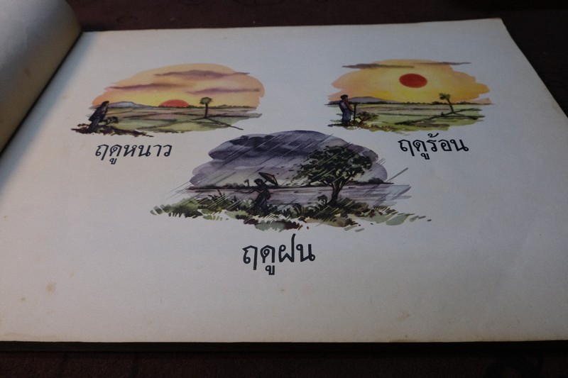คู่มือครูชั้นประถมปีทีหนึ่ง ของ กระทรวงศึกษาธิการ ภาพผนัง สำหรับหนังสือ "ฝนตกแดดออก” ปี 2498