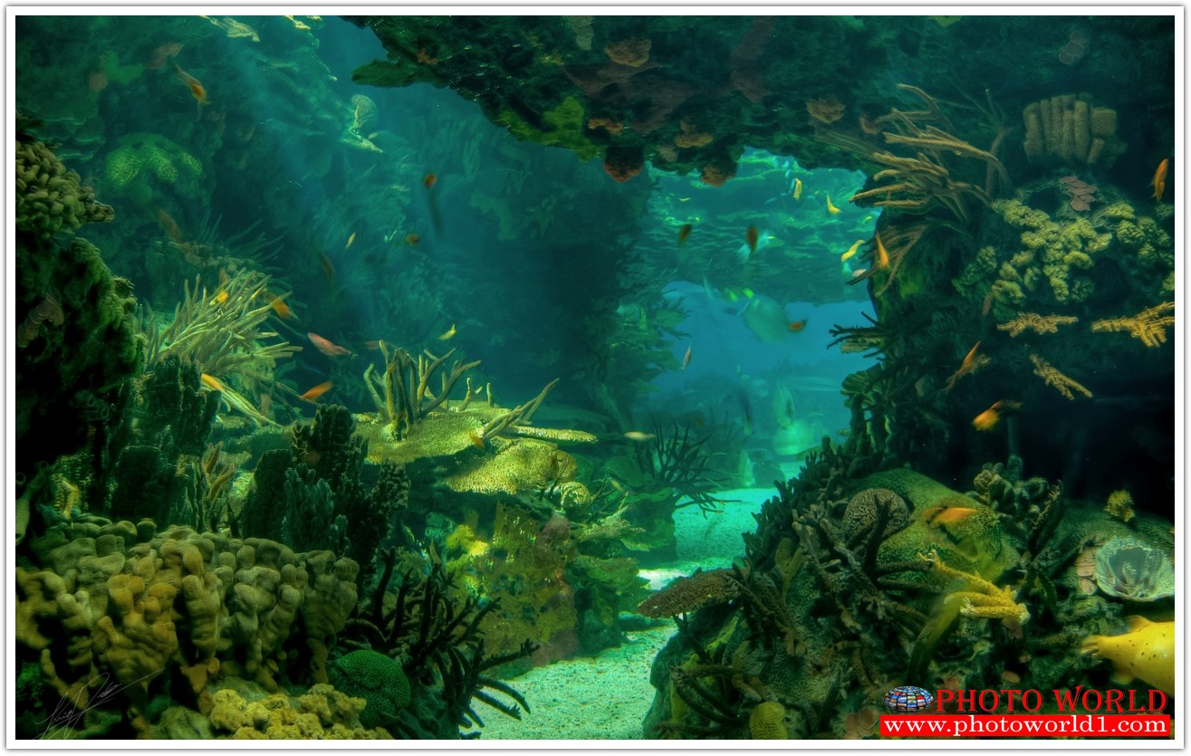 วอลเปเปอร์รูปภาพติดผนังสั่งทำ มีภาพให้เลือกกว่า 50,000 ภาพ ออกแบบกราฟฟิค หรือ รูปภาพตามที่ท่านกำหนด ในสไตล์ท่านเอง "custom made"