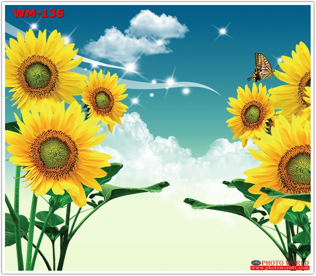 วอลเปเปอร์รูปภาพติดผนังสั่งทำ มีภาพให้เลือกกว่า 50,000 ภาพ ออกแบบกราฟฟิค หรือ รูปภาพตามที่ท่านกำหนด ในสไตล์ท่านเอง "custom made"