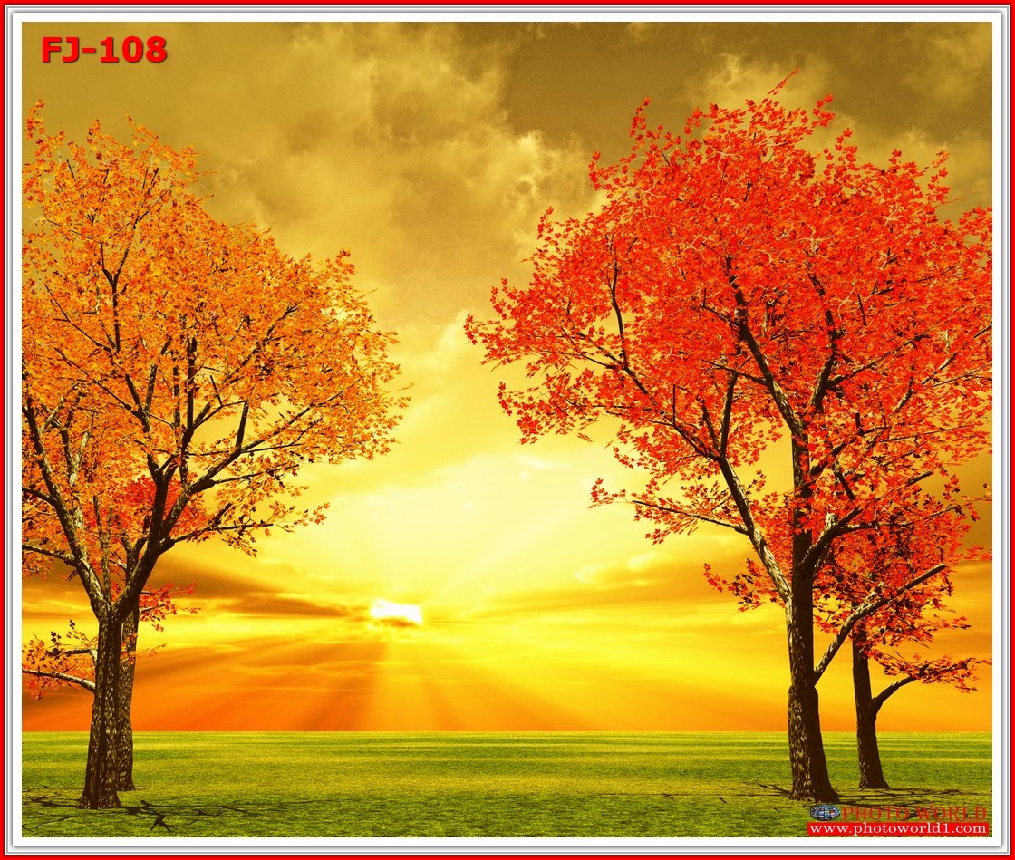 วอลเปเปอร์รูปภาพติดผนังสั่งทำ มีภาพให้เลือกกว่า 50,000 ภาพ ออกแบบกราฟฟิค หรือ รูปภาพตามที่ท่านกำหนด ในสไตล์ท่านเอง "custom made"