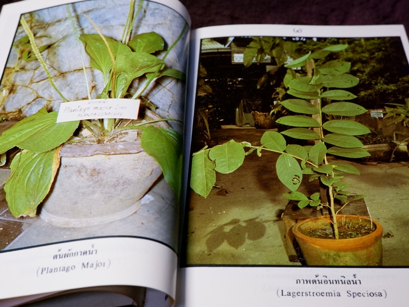 หลักการใช้ยาสมุนไพรรักษาโรคต่างๆ โดย พ.ต.อ.ชลอ อุทกภาชน์ เล่ม 1 เเละ 2 (Pre-Order สอบถาม)