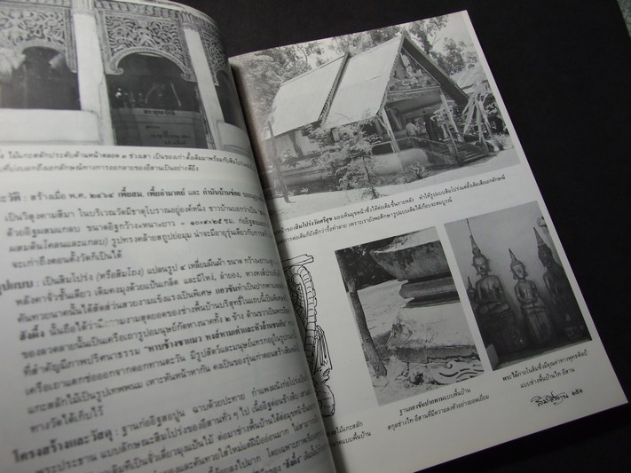 สิมอีสาน โดย วิโรฒ ศรีสุโร (Pre-Order สอบถาม)