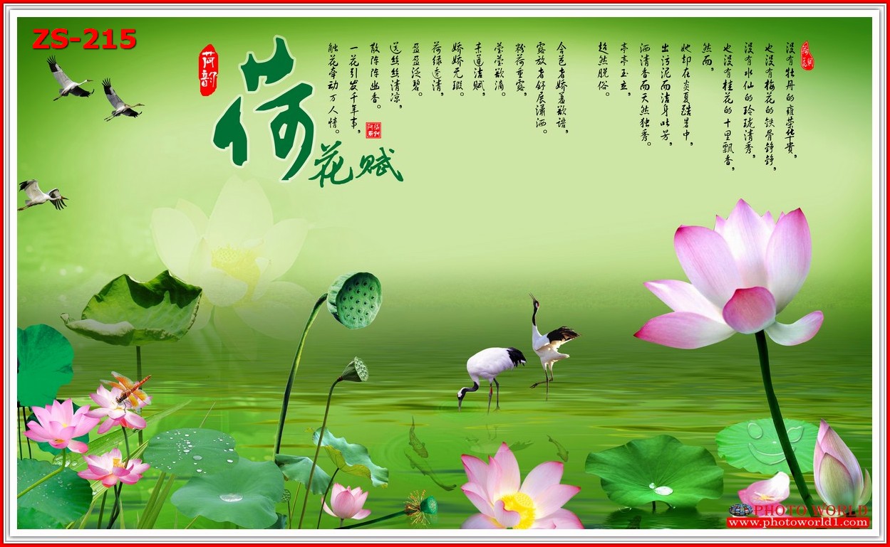 วอลเปเปอร์รูปภาพติดผนังสั่งทำ มีภาพให้เลือกกว่า 50,000 ภาพ ออกแบบกราฟฟิค หรือ รูปภาพตามที่ท่านกำหนด ในสไตล์ท่านเอง "custom made"