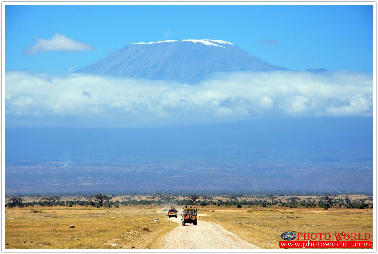 NATURAL วอลเปเปอร์รูปภาพติดผนังสั่งทำ มีภาพให้เลือกกว่า 50,000 ภาพ ออกแบบกราฟฟิค หรือ รูปภาพตามที่ท่านกำหนด ในสไตล์ท่านเอง "custom made"