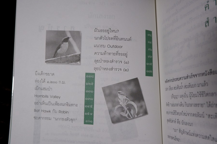 นักเลงนก ท่องไพรไปดูนกเเบบหัวหกก้นขวิด โดย ปริญญา ผดุงถิ่น