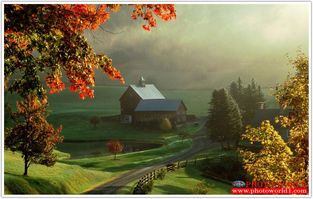 NATURAL วอลเปเปอร์รูปภาพติดผนังสั่งทำ มีภาพให้เลือกกว่า 50,000 ภาพ ออกแบบกราฟฟิค หรือ รูปภาพตามที่ท่านกำหนด ในสไตล์ท่านเอง "custom made"