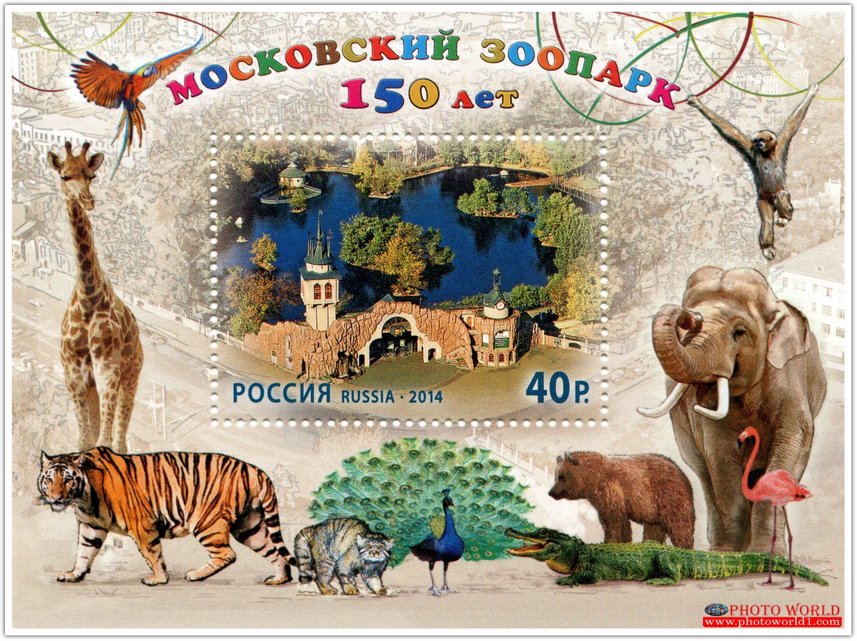 วอลเปเปอร์รูปภาพติดผนังสั่งทำ มีภาพให้เลือกกว่า 50,000 ภาพ ออกแบบกราฟฟิค หรือ รูปภาพตามที่ท่านกำหนด ในสไตล์ท่านเอง "custom made"