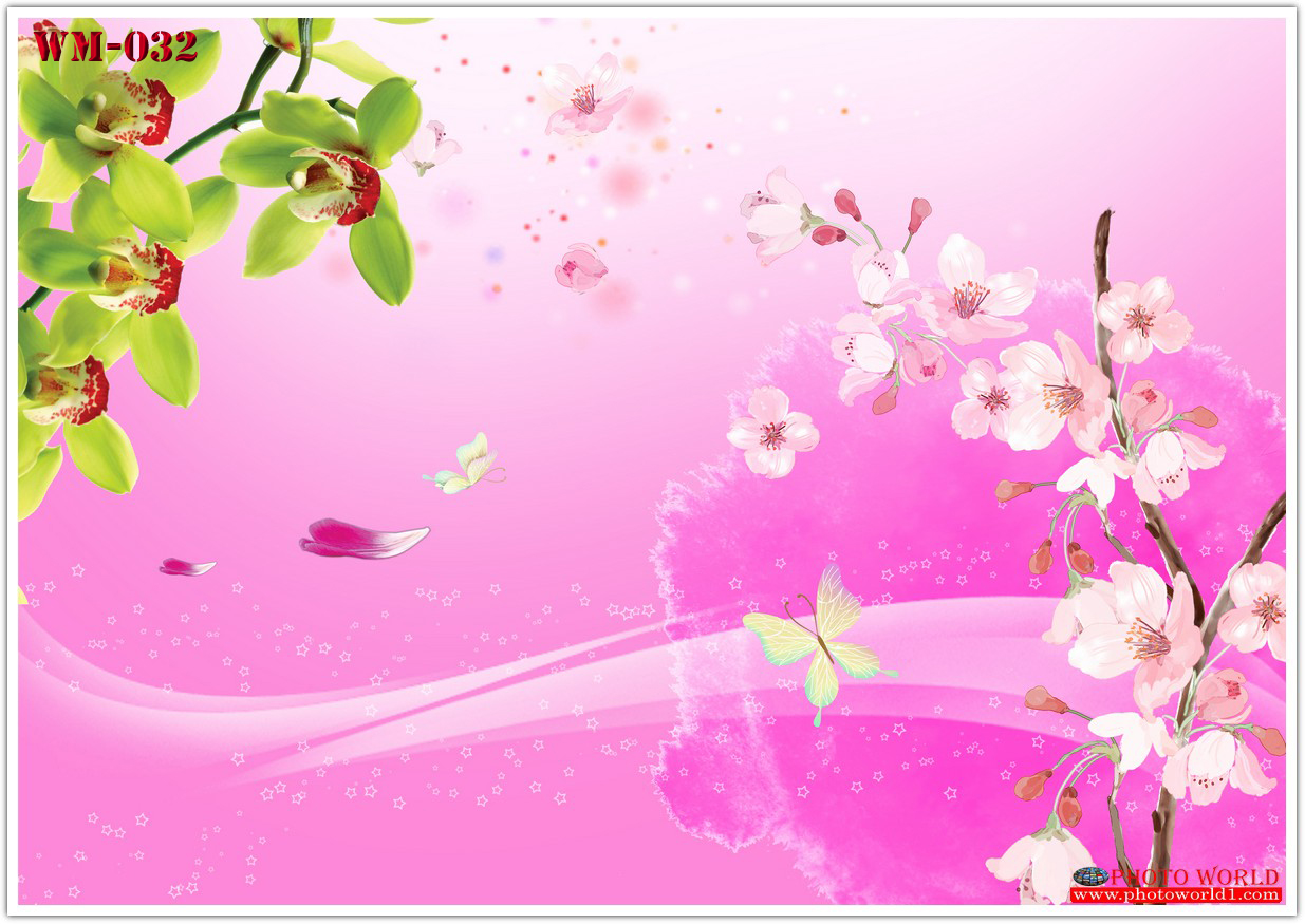 วอลเปเปอร์รูปภาพติดผนังสั่งทำ มีภาพให้เลือกกว่า 50,000 ภาพ ออกแบบกราฟฟิค หรือ รูปภาพตามที่ท่านกำหนด ในสไตล์ท่านเอง "custom made"