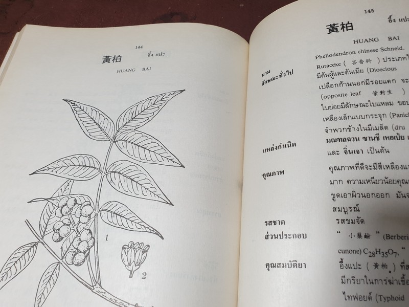 สมุนไพรจีน โดย เจนกิจ เวชพงศา